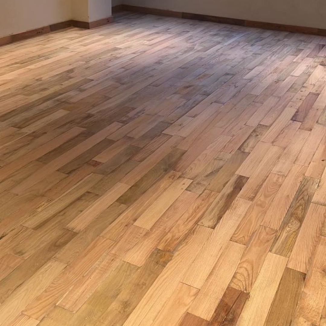 WhatsApp Image 2026-02-15 at 2.21.06 PM