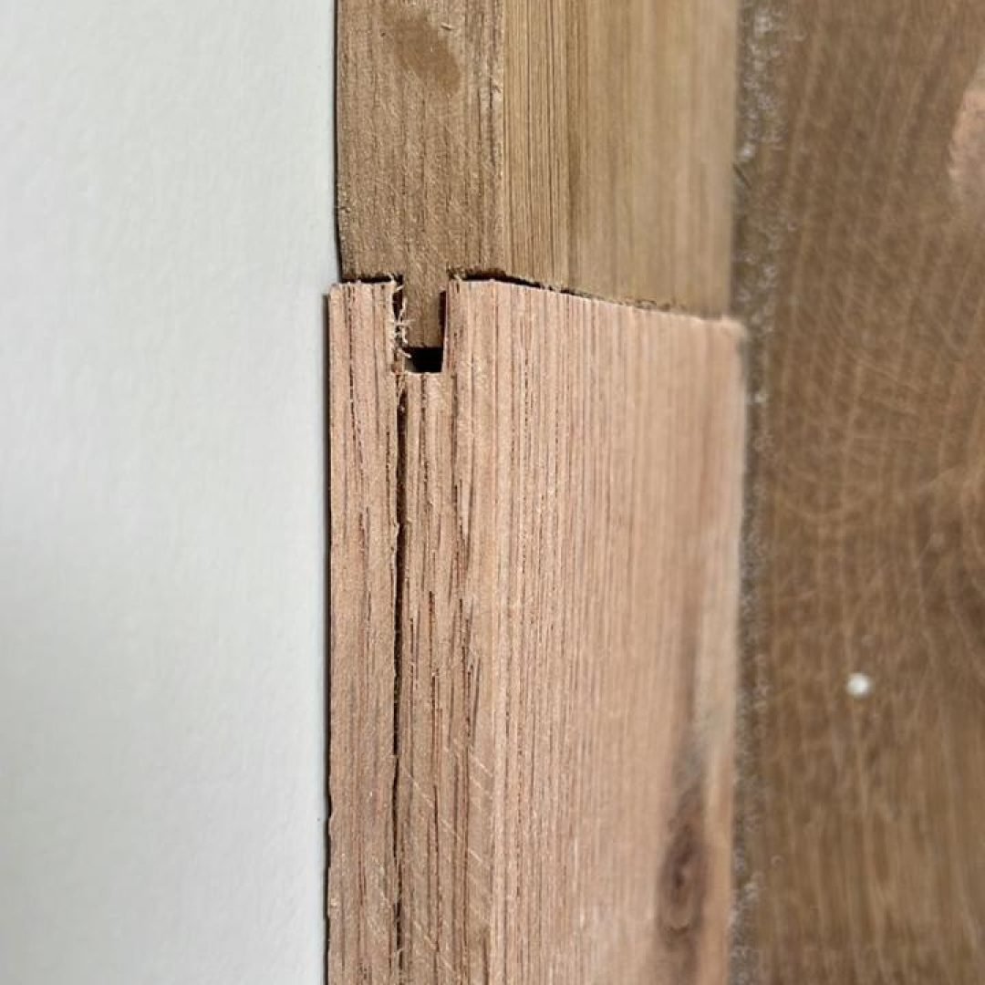 WhatsApp Image 2026-02-15 at 2.21.07 PM