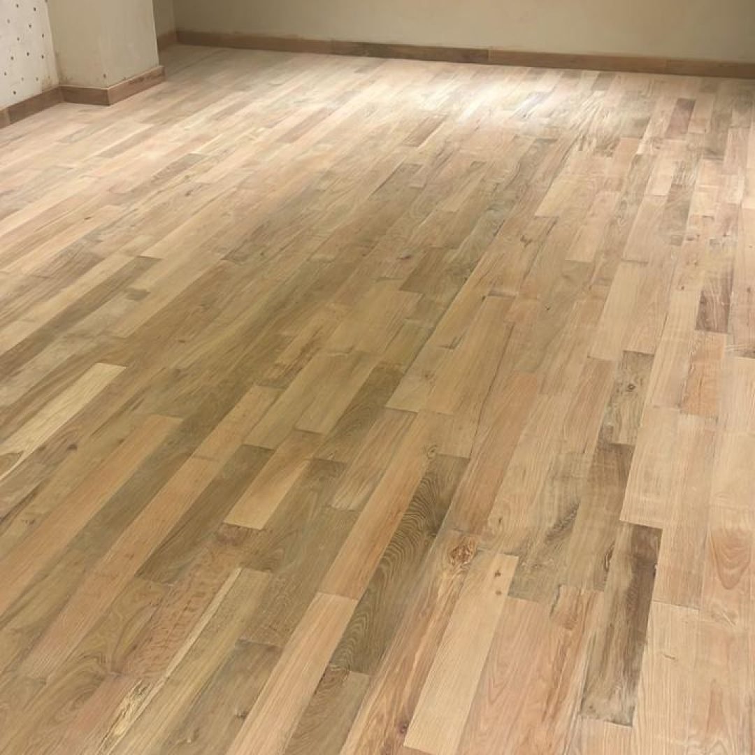 WhatsApp Image 2026-02-15 at 2.21.08 PM