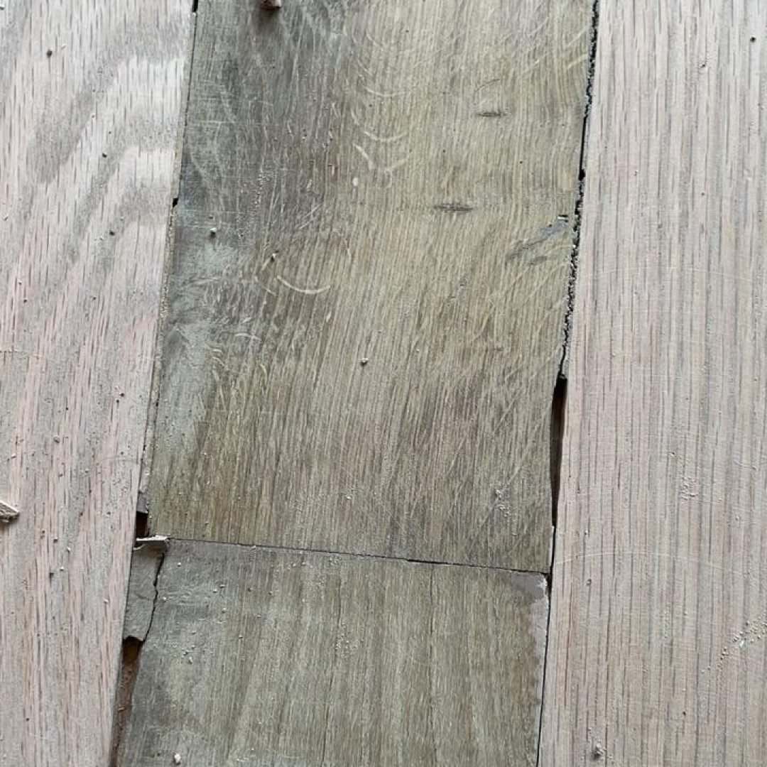 WhatsApp Image 2026-02-15 at 2.21.14 PM