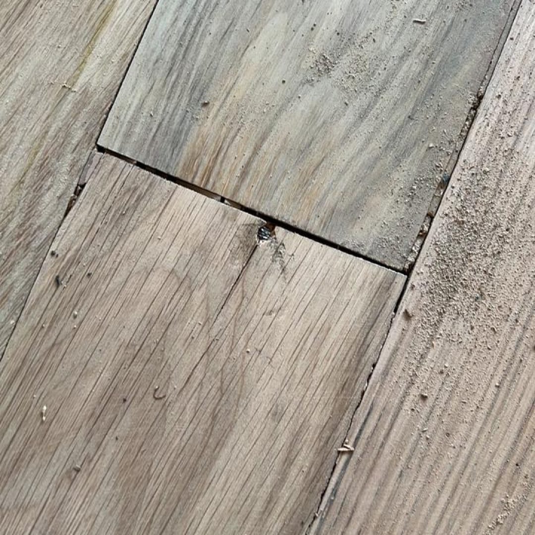 WhatsApp Image 2026-02-15 at 2.21.22 PM