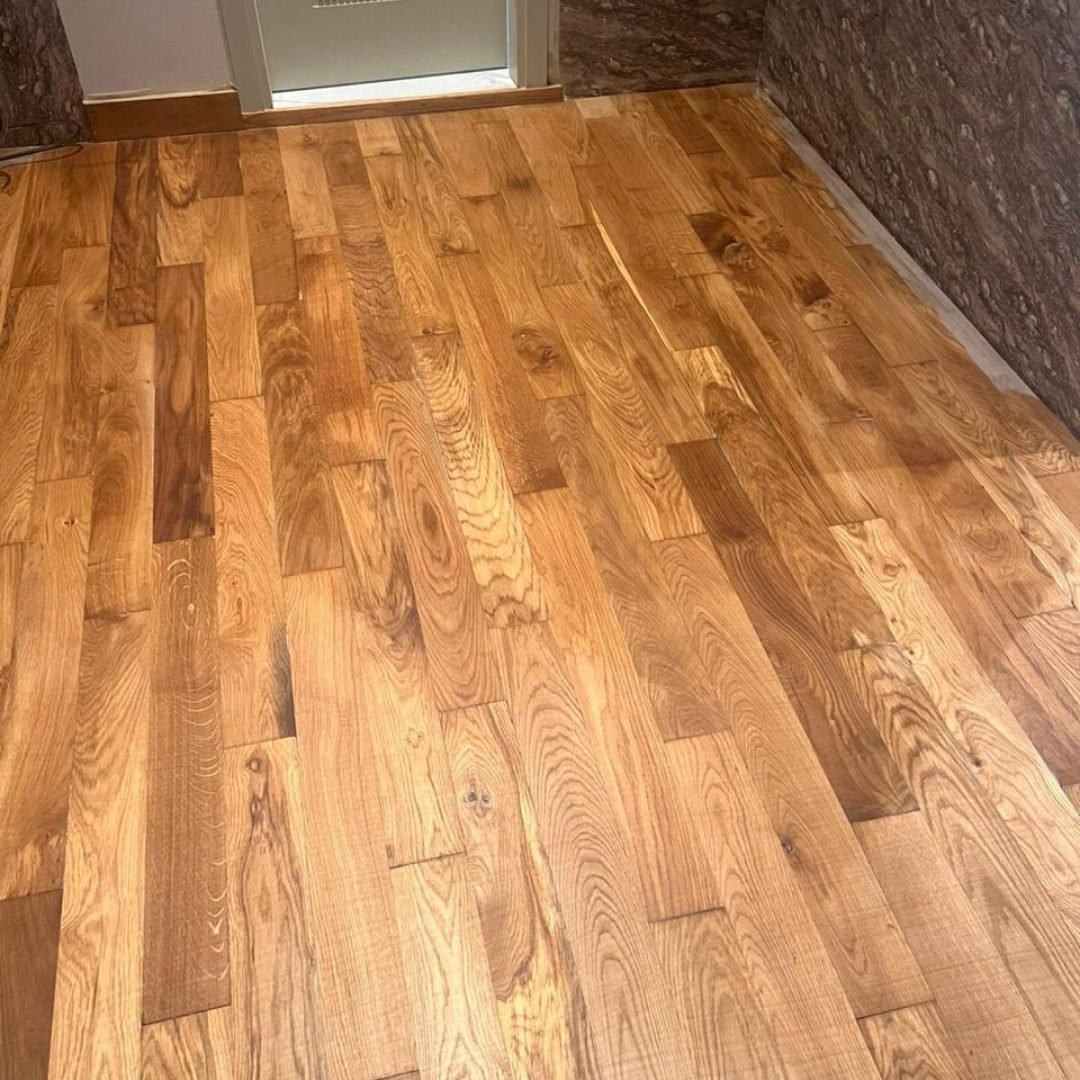 WhatsApp Image 2026-02-15 at 2.22.11 PM