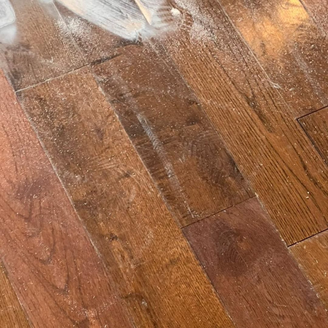 WhatsApp Image 2026-02-15 at 2.22.14 PM (1)