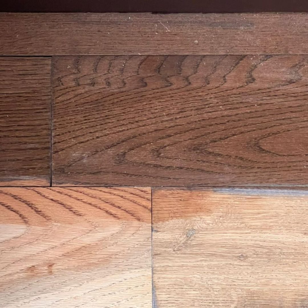 WhatsApp Image 2026-02-15 at 2.22.25 PM