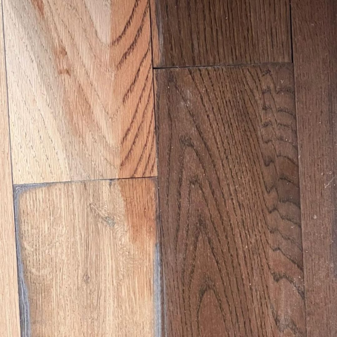 WhatsApp Image 2026-02-15 at 2.22.35 PM